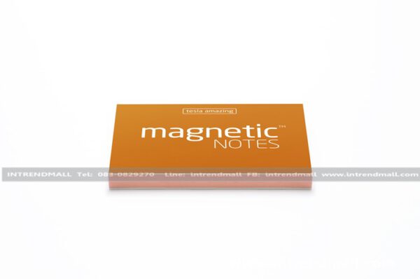 Magnetic19