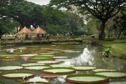 suan-luang-rama-9-5