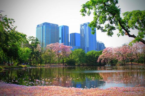rod-fai-park-5