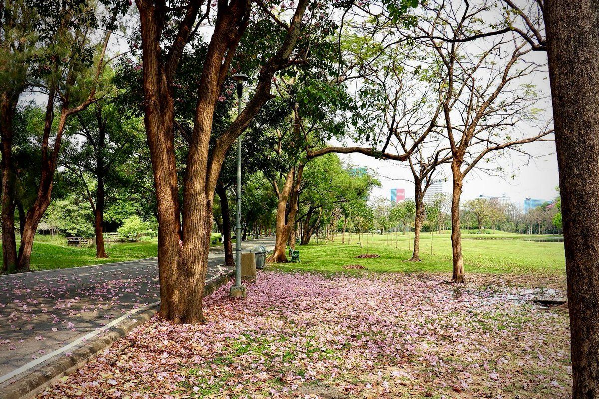rod-fai-park-1