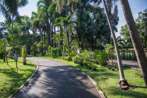 seri-thai-park-2