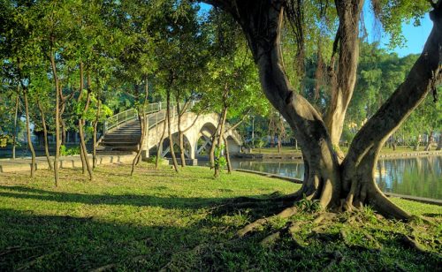 seri-thai-park-3