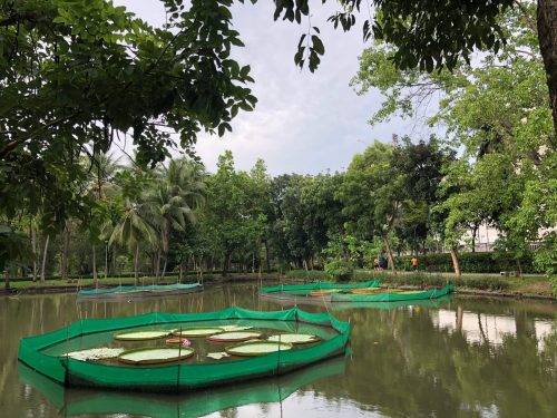 thonburirom-park-5