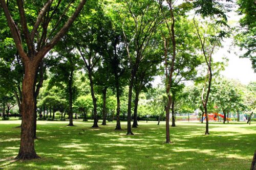 rommani-nart-park-4