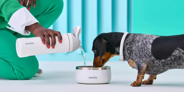 Owala - Pet Bowl 48oz