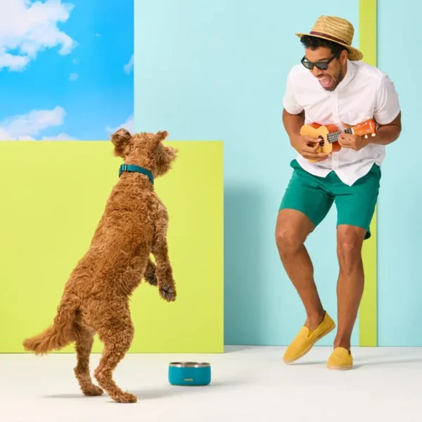Owala - Pet Bowl 48oz