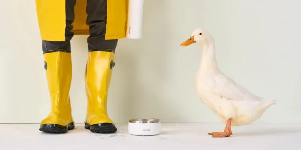 Owala - Pet Bowl 48oz
