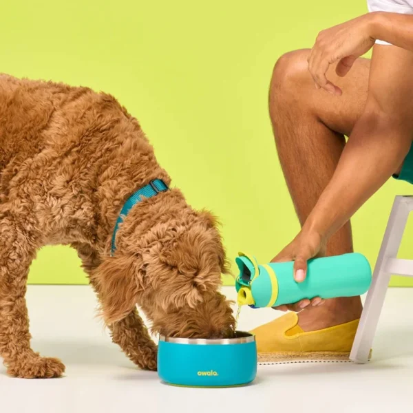 Owala - Pet Bowl 48oz