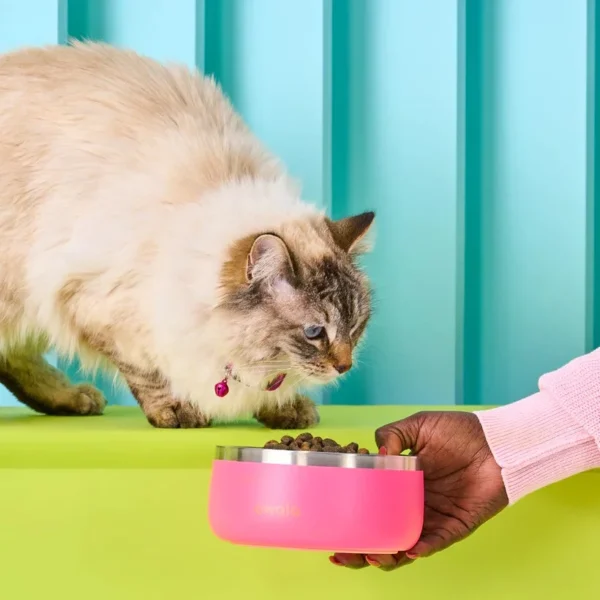Owala - Pet Bowl 48oz