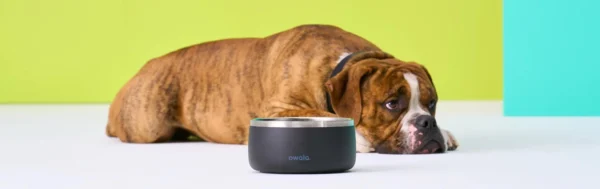 Owala - Pet Bowl 48oz