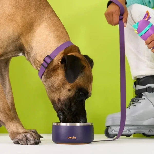 Owala - Pet Bowl 48oz