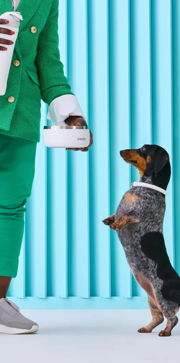 Owala - Pet Bowl 48oz
