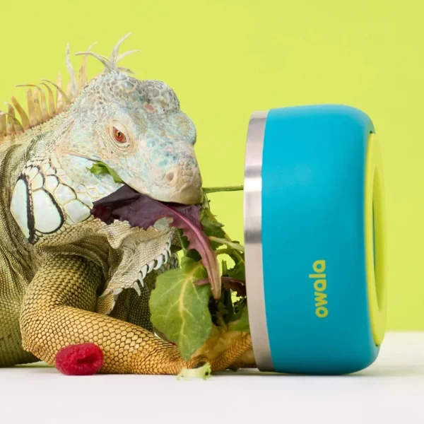 Owala - Pet Bowl 48oz